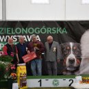 pieski2 152